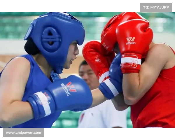 拳击赛事分工、拳击赛事分工全景解析裁判选手医疗团队职责分配与协作策略 拳击赛事分工、拳击赛事分工全景解析裁判选手医疗团队职责分配与协作策略