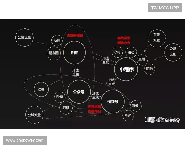 搏击体育赛事盈利模式 搏击赛事盈利核心策略高效运营与商业变现实战指南 搏击体育赛事盈利模式 搏击赛事盈利核心策略高效运营与商业变现实战指南