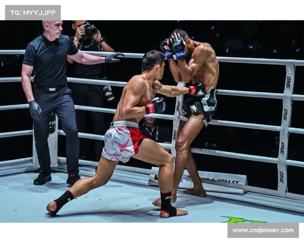 泰拳水平最高的赛事 泰拳排第几