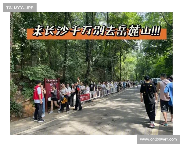 长沙跑步赛事汇总-长沙跑步盛宴激情开跑岳麓山下湘江之滨挑战自我共享健康欢乐